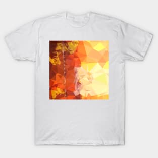 Deep Saffron Orange Abstract Low Polygon Background T-Shirt